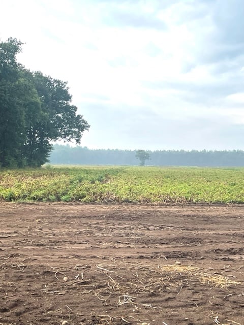 Bekijk foto 2 van Grond nabij Apeldoornseweg