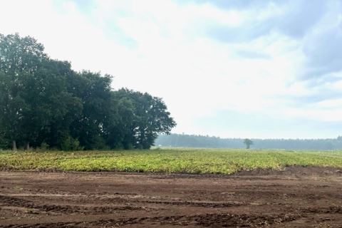 Bekijk foto 4 van Grond nabij Apeldoornseweg