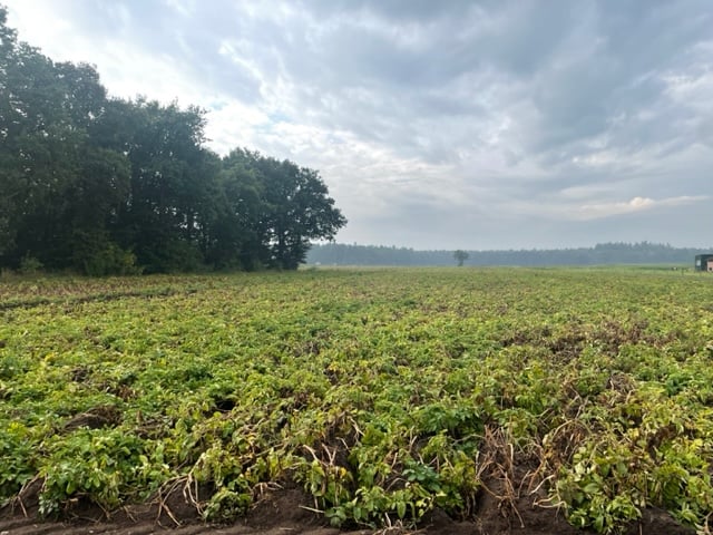 Bekijk foto 1 van Grond nabij Apeldoornseweg