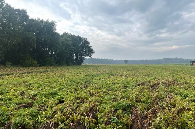 Bekijk foto van Grond nabij Apeldoornseweg 0 ong