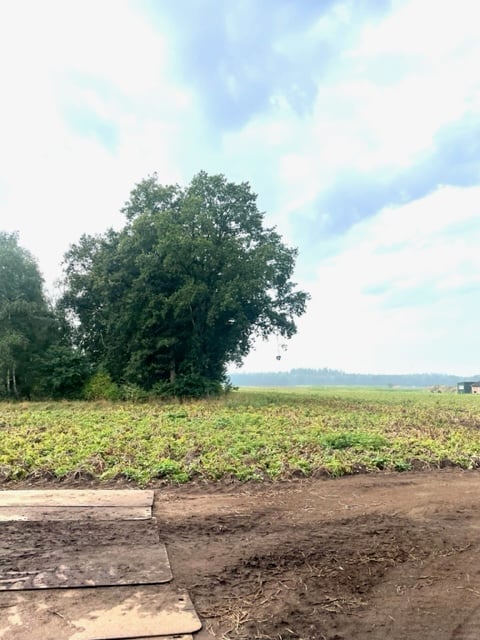 Bekijk foto 3 van Grond nabij Apeldoornseweg