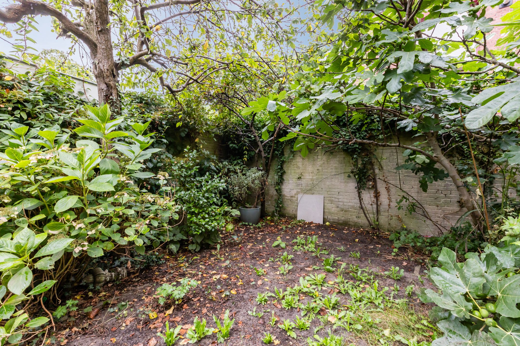 Foto 42 van Groesbeekseweg 134