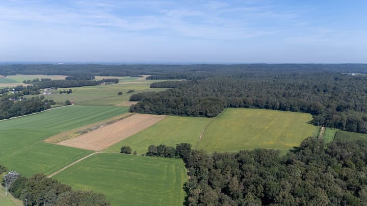 Foto 26 van Kruisstuk 5