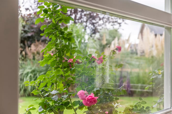 Foto 21 van Concorde 7