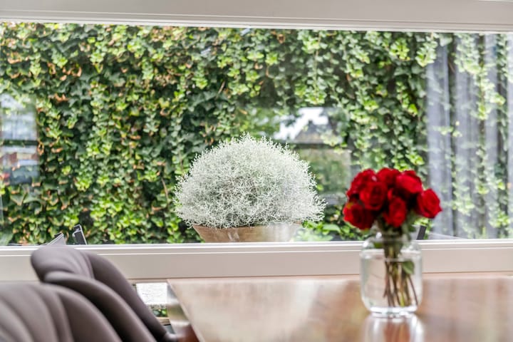 Foto 27 van Concorde 7