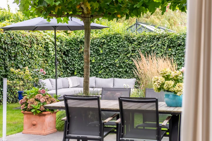 Foto 31 van Concorde 7