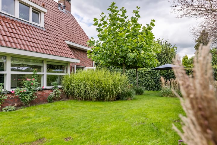 Foto 53 van Concorde 7