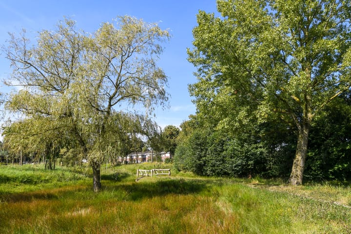 Foto 28 van De Spool 7