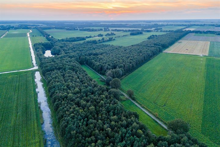 Bekijk foto 1 van Scheidingslaan 5