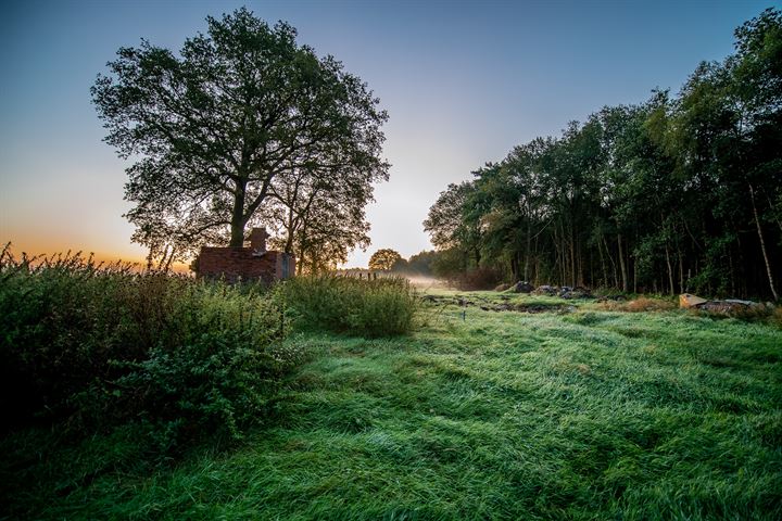 Bekijk foto 11 van Scheidingslaan 5