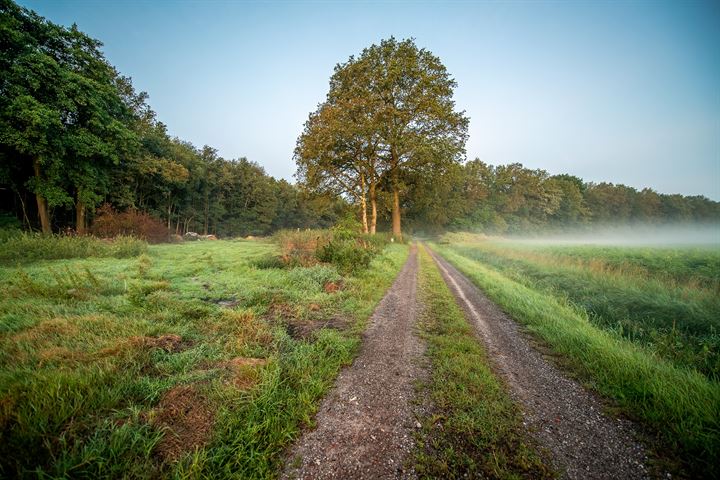 Bekijk foto 16 van Scheidingslaan 5