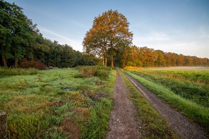 Bekijk foto 17 van Scheidingslaan 5