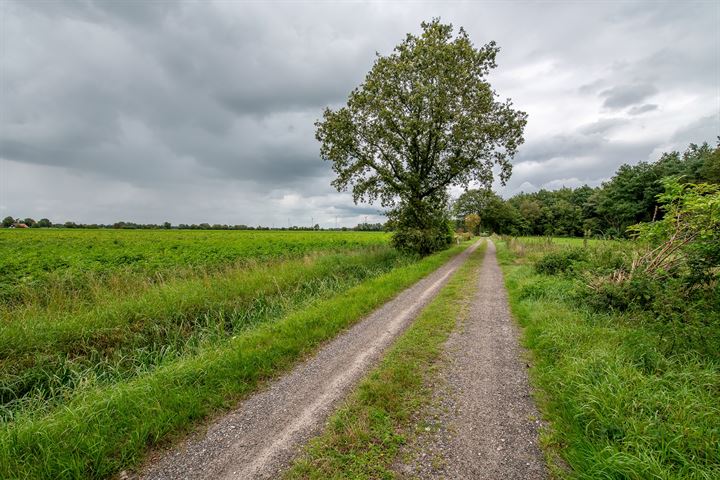 Bekijk foto 32 van Scheidingslaan 5