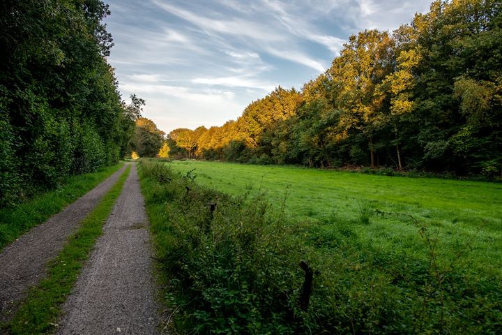 Bekijk foto 35 van Scheidingslaan 5