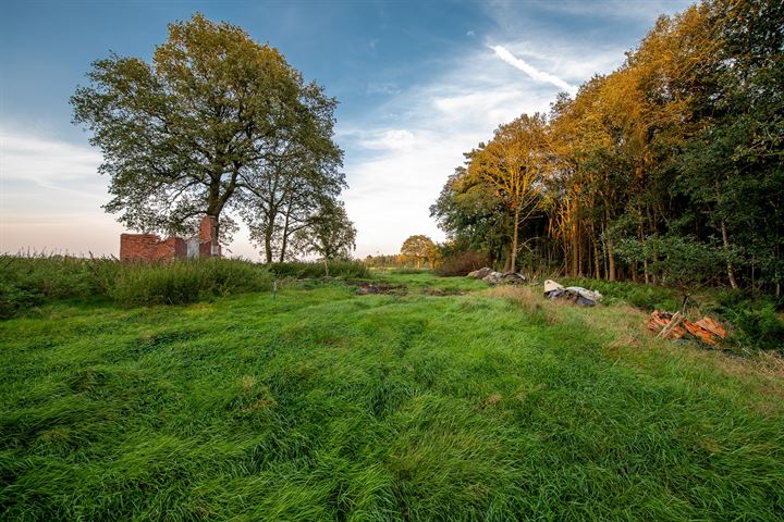 Bekijk foto 36 van Scheidingslaan 5