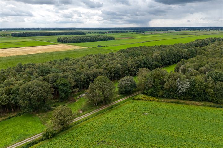 Bekijk foto 47 van Scheidingslaan 5