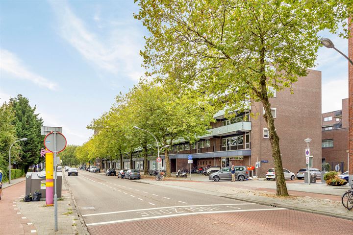 View photo 20 of Ruys de Beerenbrouckstraat 81-A