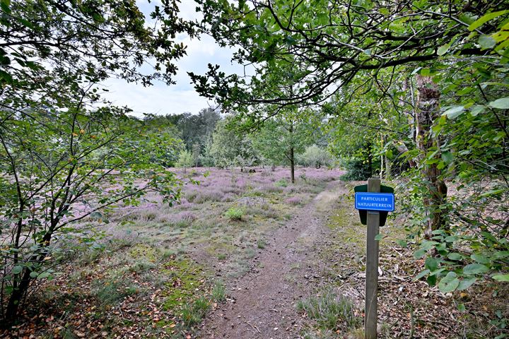 Bekijk foto 43 van Bathmenseweg 12