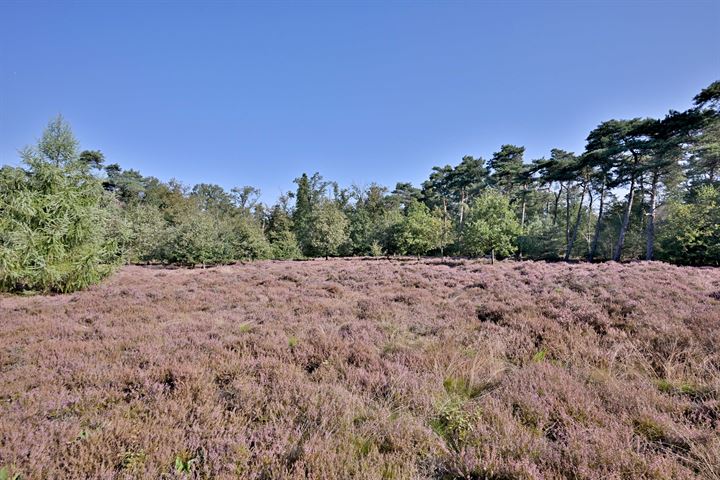 Bekijk foto 44 van Bathmenseweg 12