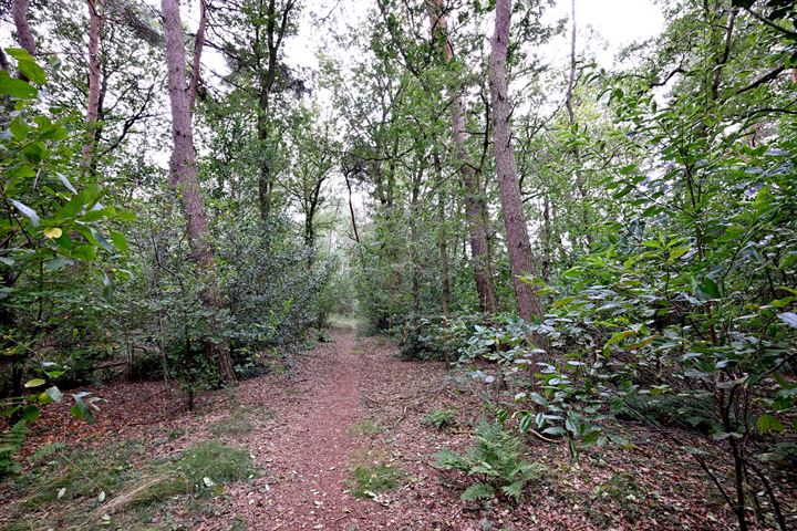 Bekijk foto 45 van Bathmenseweg 12