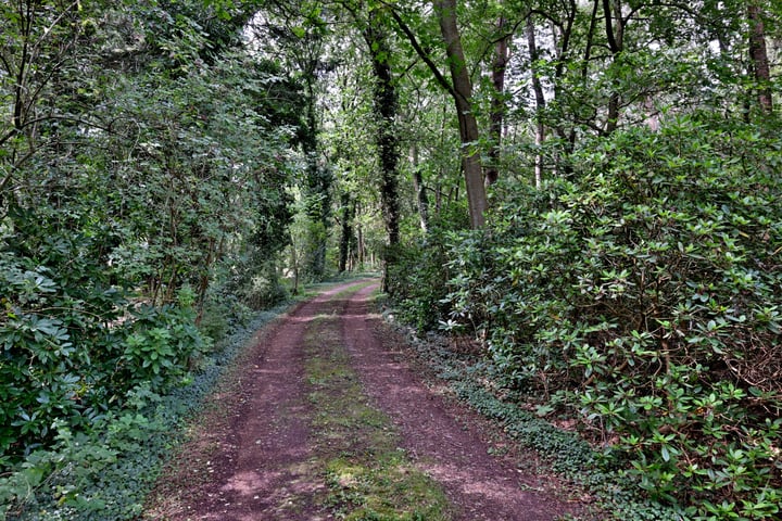 View photo 51 of Bathmenseweg 12