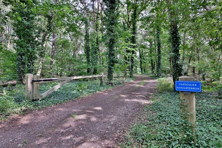 View photo 53 of Bathmenseweg 12