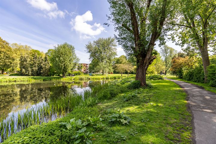 Bekijk foto 49 van Molukkenstraat 66