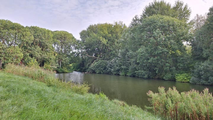 Foto 33 van Populierenlaan 111