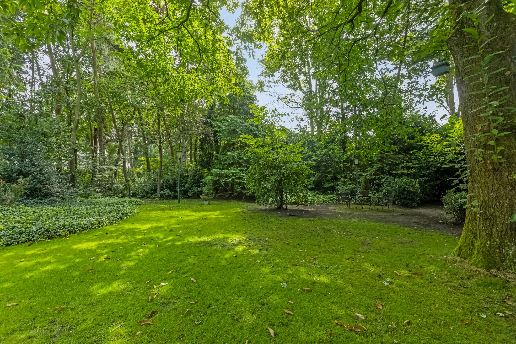 Foto 33 van Merellaan 3