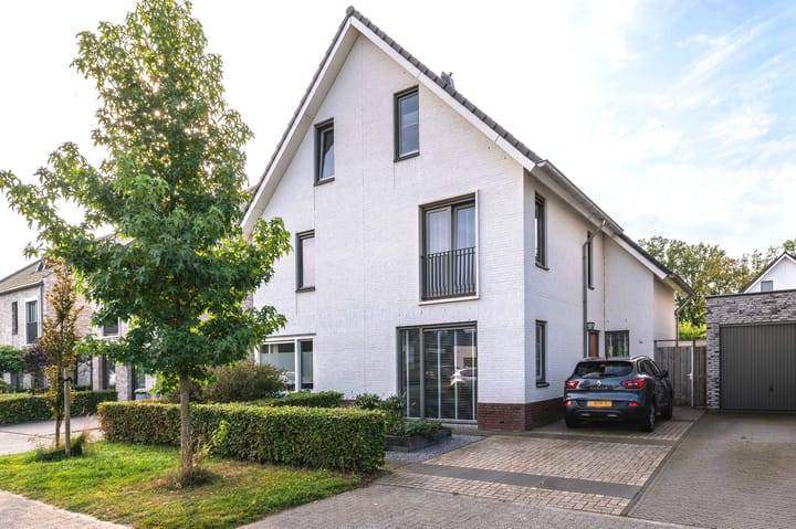 Foto 1 van Viervleklibel 9