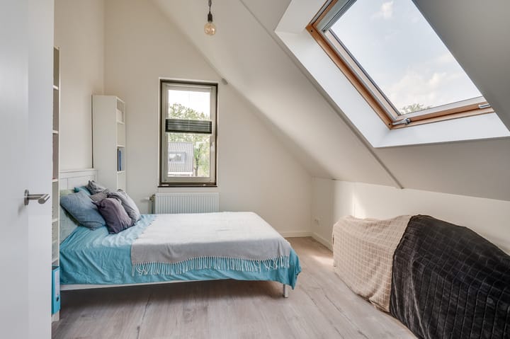 Foto 29 van Viervleklibel 9