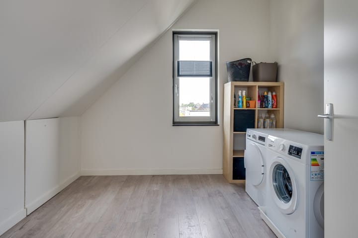 Foto 31 van Viervleklibel 9