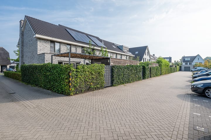 Foto 43 van Viervleklibel 9