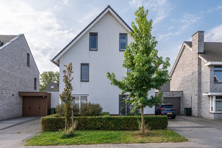 Foto 46 van Viervleklibel 9