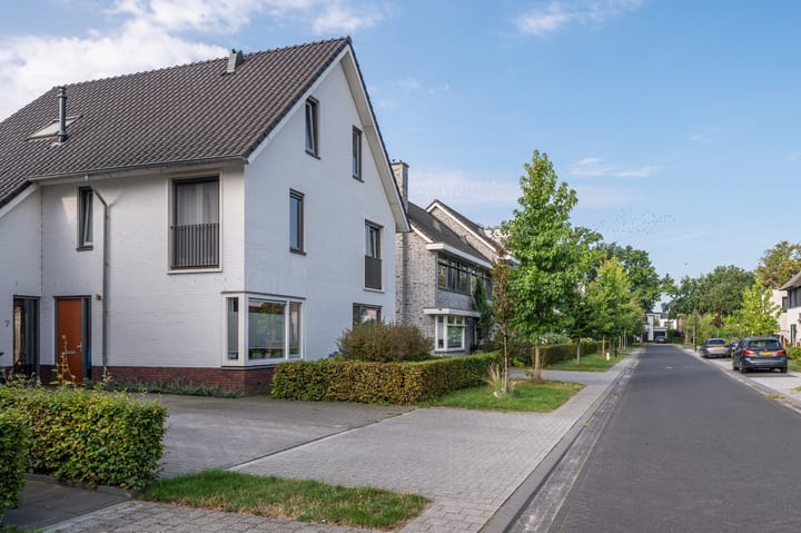 Foto 47 van Viervleklibel 9