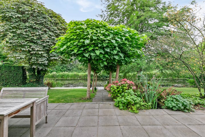 Foto 38 van van Middelhovenstraat 36