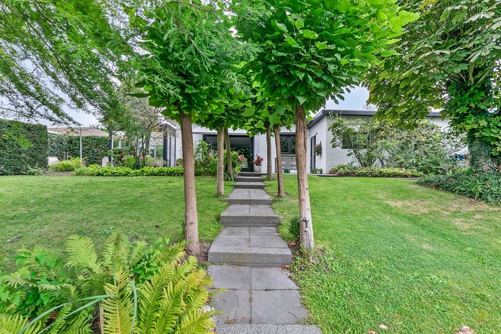 Foto 42 van van Middelhovenstraat 36