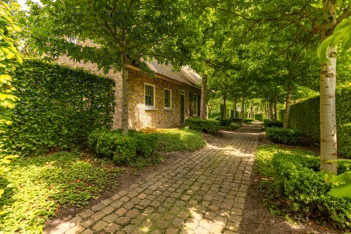 Foto 49 van Veldstraat 38