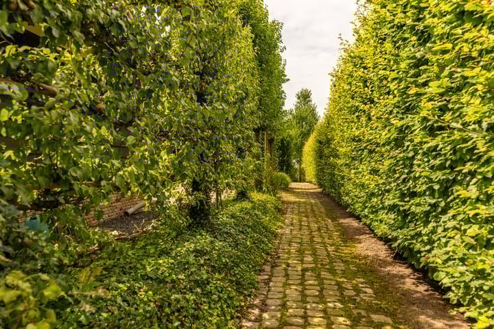 Foto 53 van Veldstraat 38