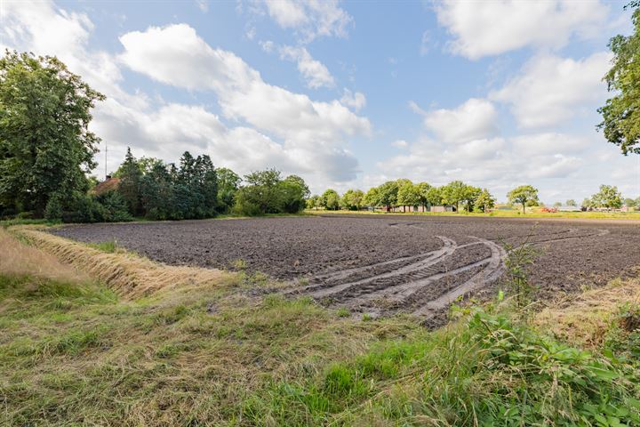 Bekijk foto 39 van Lage Mierdsedijk 2-A