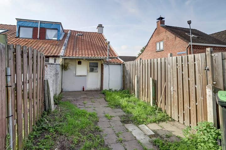 Foto 12 van Elleboog 4