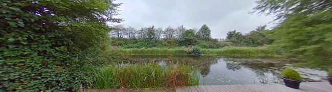 View 360° photo of Achtertuin of van Middelhovenstraat 36