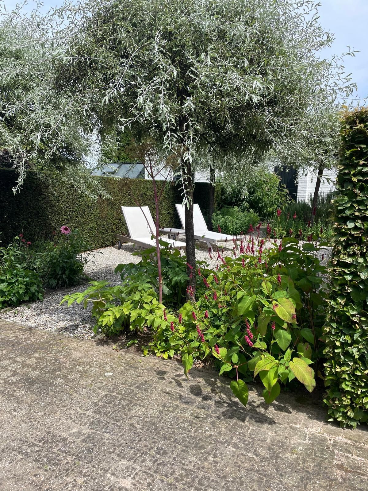 Foto 29 van Dokter de Steenhuijsenlaan 10