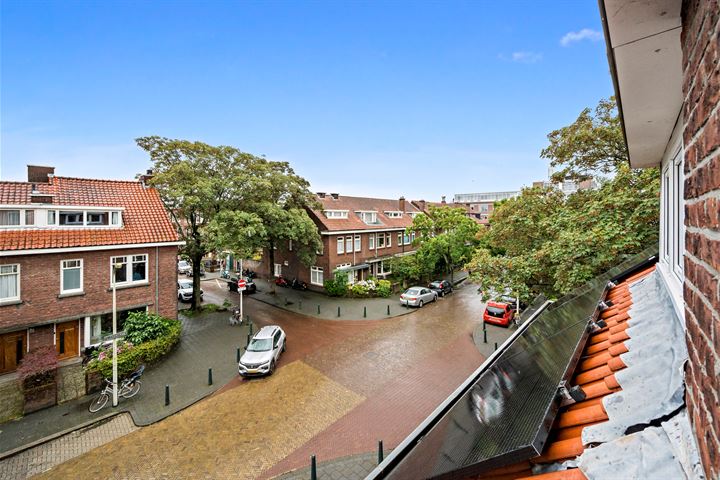 Bekijk foto 46 van Ellekomstraat 61