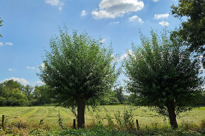 Bekijk foto 23 van Abersland 3529