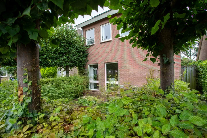 Foto 47 van Triangel 87