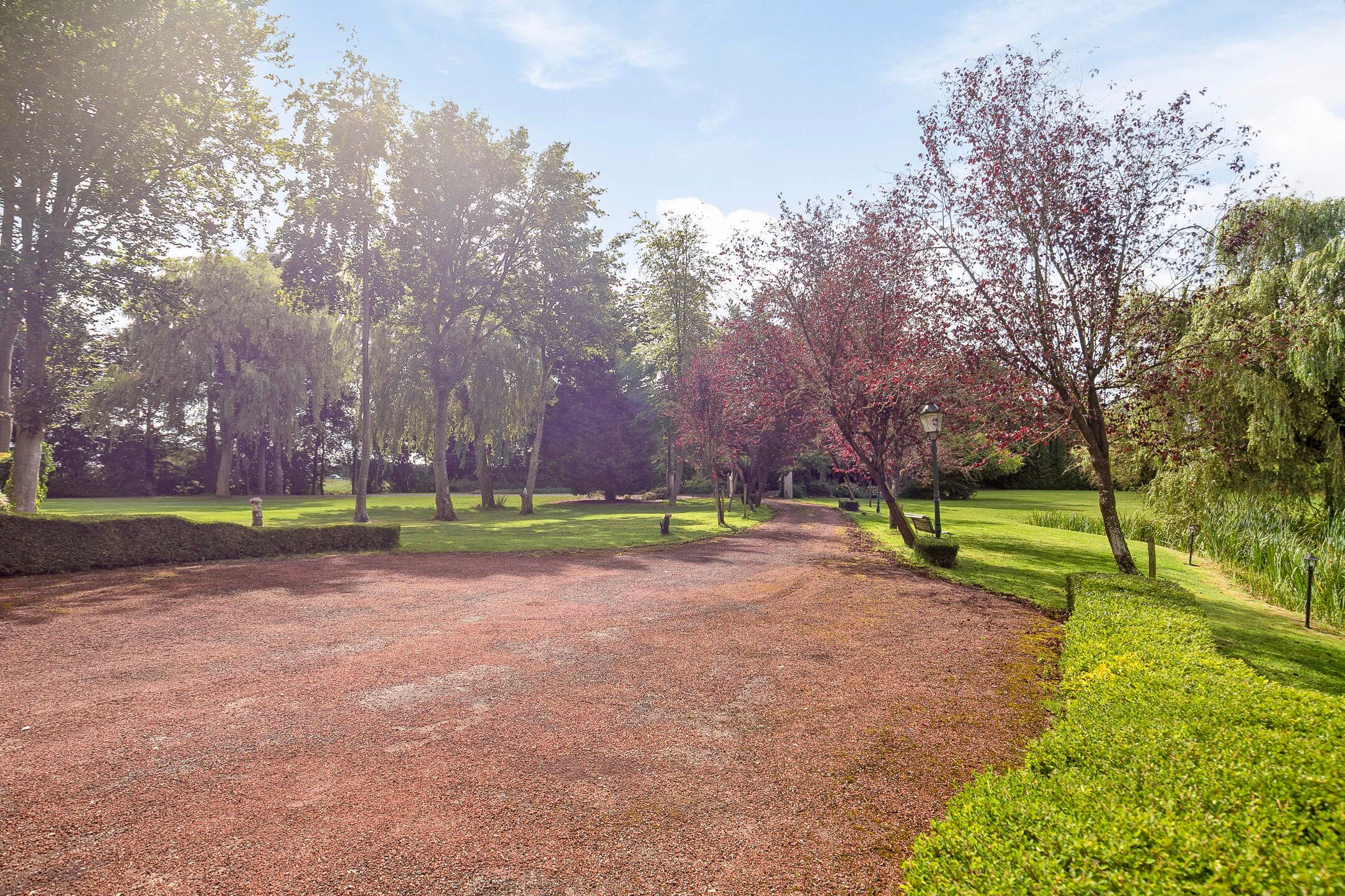 Foto 63 van Smedekensbrugge 28