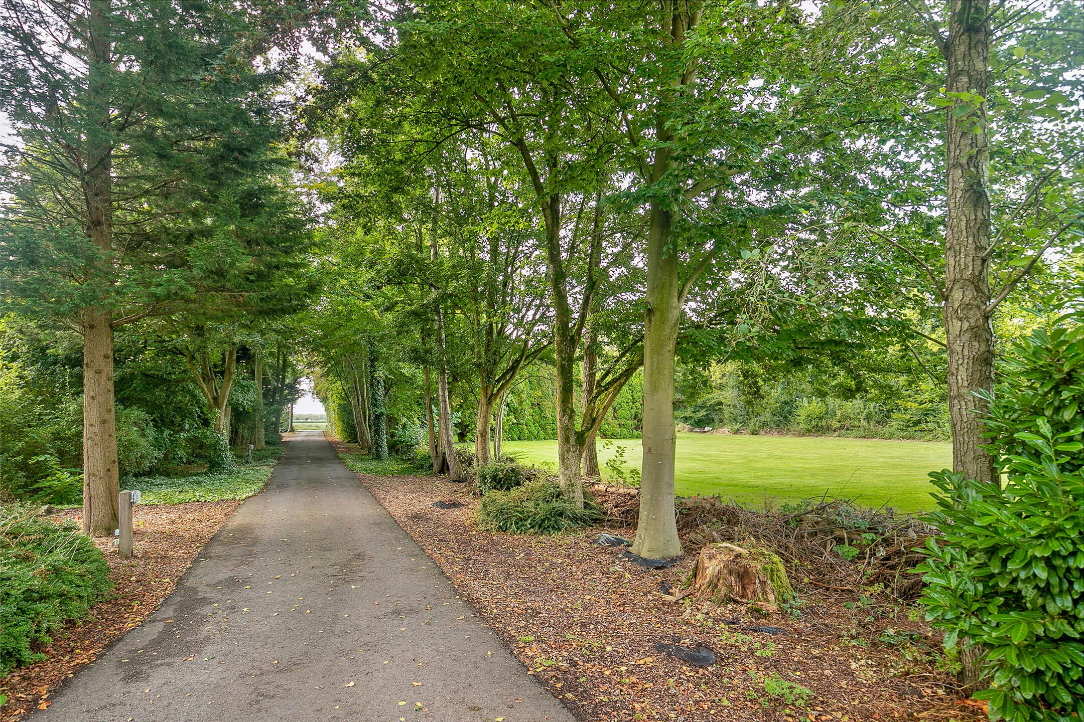 Foto 69 van Smedekensbrugge 28