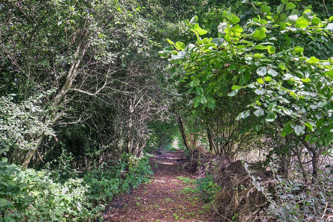 Foto 73 van Smedekensbrugge 28