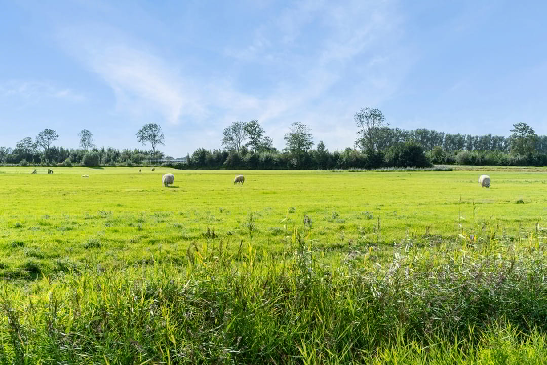 Photo 61 of Bartlehiem F 73